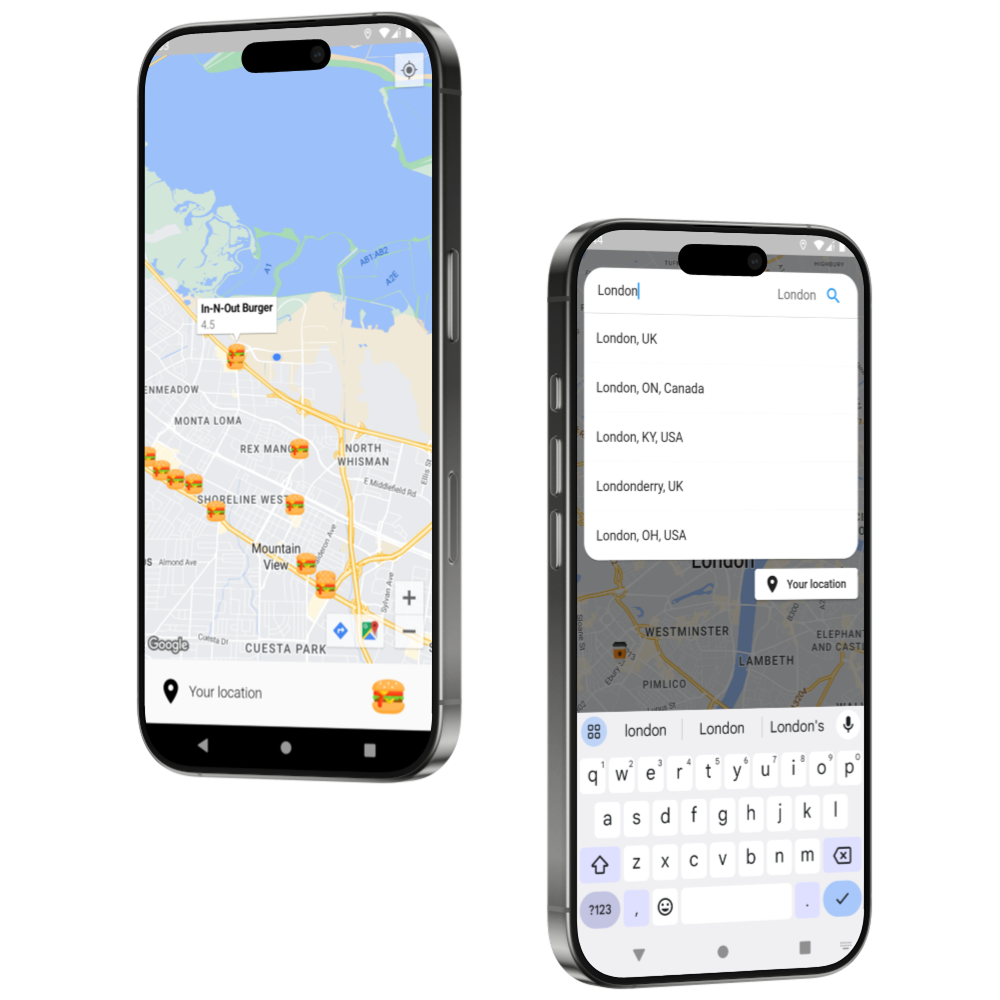 Google Maps API App project